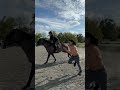 Man vs Horse