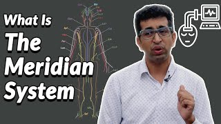What Exactly Is The Meridian System | Coaching With Dr Amit