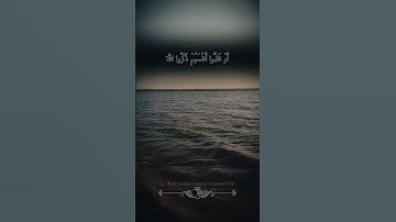 #الشيخ_محمد_علاء #قرآن #مزامير_ال_داوود #محمد_علاء_الزويني#اجمل_تلاوة_مهدئة_للاعصاب #أجمل_القراءات