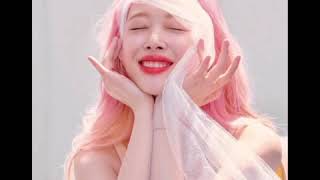 [日本語字幕]親友のIUがソルリに送る歌..IU[복숭아]#ソルリ #IU