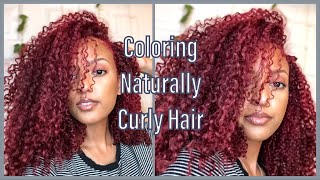 How I Touch Up My Roots & Refresh My Hair Color at Home | Red Burgundy | Part 1