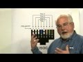 Usoc Cable Wiring Diagram