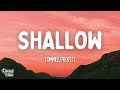 Tommee Profitt Shallow Lyrics Ft Fleurie mp3