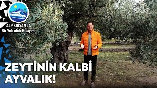 Zeytinin Kalbi Ayvalık Alp Kırşanla Bir Yolculuk Hikayesi