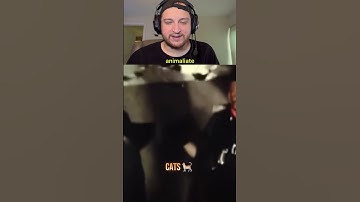 HOW ANIMALS REACT TO ZERO GRAVITY #shorts