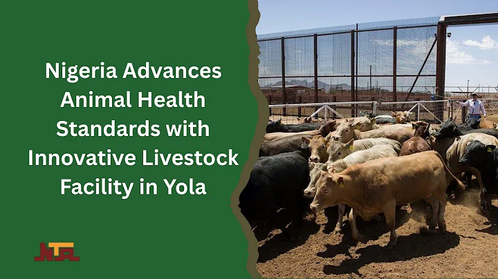 Nigeria Advances Animal Health Standards with Innovative Livestock Facility in Yola