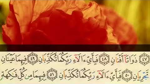 سورة الرحمن - تلاوة أبو عبدالله المطرفي