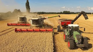 Claas Lexion 770 Tt And Lexion 760 Combine Harvester Assisted By A J&M Grain Cart