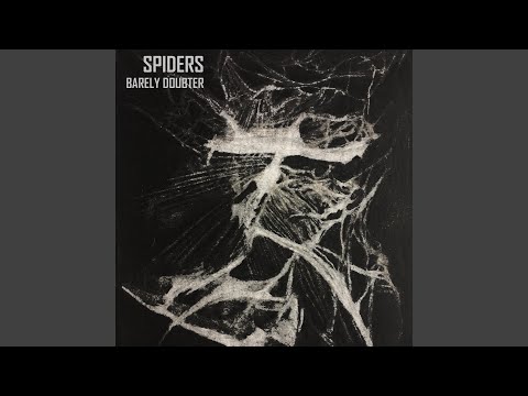 Spiders