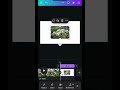 Let's design a captivating zoom animation using Canva's versatile features. #autodraw #canvadesign
