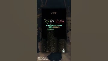 سورة النحل قرآن كريم حالات واتساب #shortvideo #شورتس #حالات_واتس #قرآن #قرانكريم