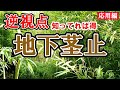 竹 長年放置できる方法!逆視点の地下茎対策【ライフハック】