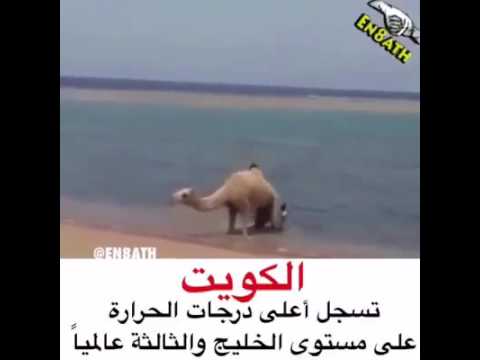 في الكويت الحرارة درجة درجة حرارة