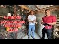 Güvercinleri İçin Ev Yaptırdı Sistem Adeta Klimalı Gibi Ahmet Yiğit Güvercinleri