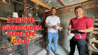 Güvercinleri İçin Ev Yaptırdı Sistem Adeta Klimalı Gibi Ahmet Yiğit Güvercinleri