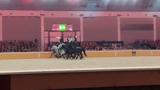 Pferd Bodensee Gala Ungarische Post der Compagnie Impulsion