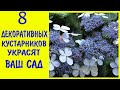 8 УДИВИТЕЛЬНЫХ КУСТАРНИКОВ,которые украсят ваш сад/Елена Мир Семян и Цветов