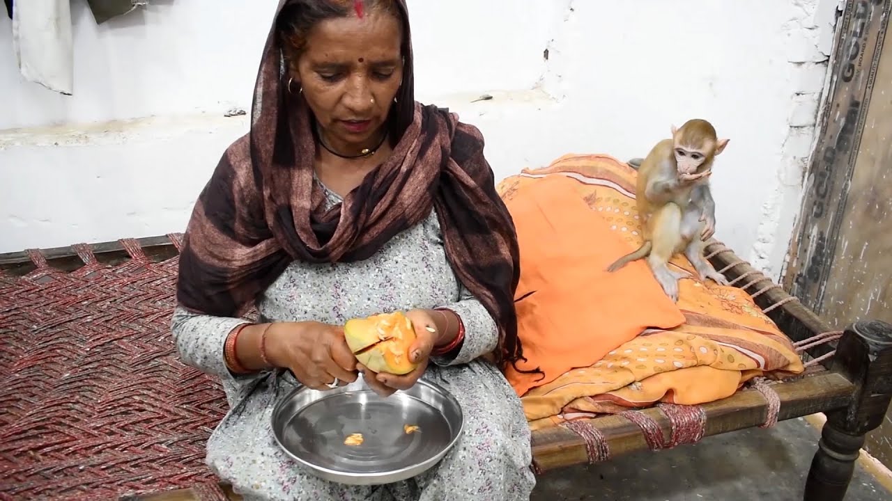 Gori और मम्मी का प्यार ❤️😘 #monkeylove #babymonkey #monkey #cute #monkeychallenge @gorimonkeybaby 