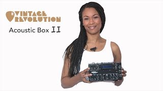 Vintage Revolution Acoustic box II Introduction
