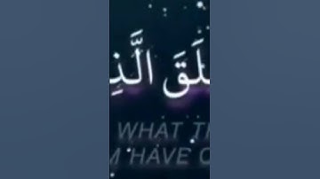 #سورة_لقمان #فارس_عباد