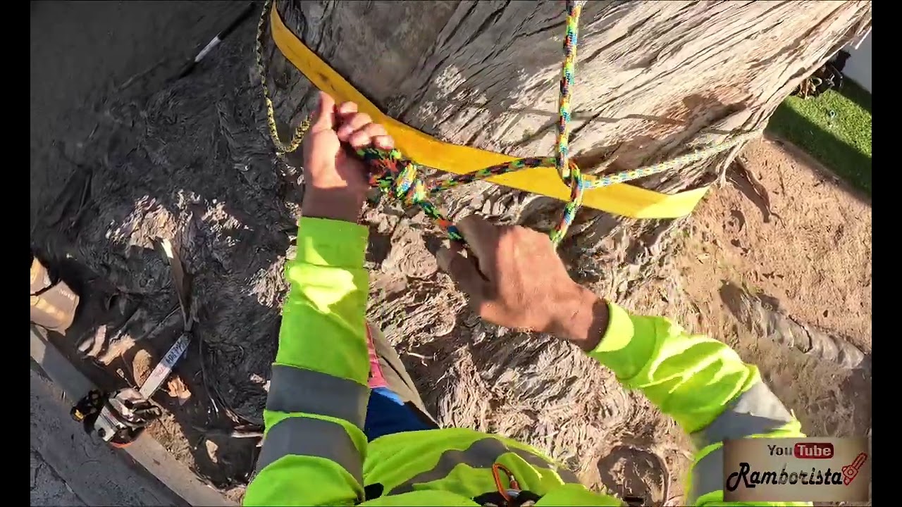 Recorte de rama grande sobre la casa