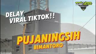 DELAY‼️ / PUJANINGSIH / PERDANA PRODUKTION