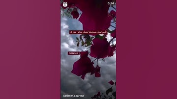 وقال ربكم أدعوني أستجب لكم #قران #قران_كريم #quran #تلاوات #تلاوة_