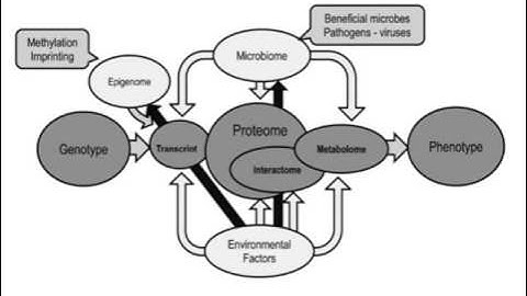 Introduction to Proteomics