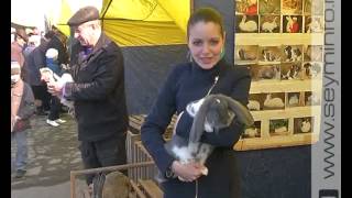 В областном центре прошла ярмарка домашней птицы и кроликов(, 2013-05-13T14:18:59.000Z)