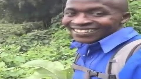 Hi / OKAY / MEME SOUND EFFECT 🇸🇽