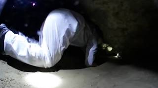 Gateras en la Cueva de Agudin,