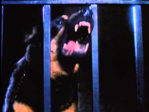 Night School Original Theatrical Trailer (Warner Archive Collection)