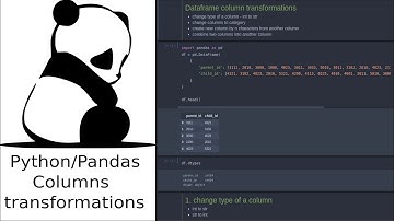 dataframe column transformations ( str, int, category, concat)