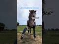 Walk The Other Way Fyp Horse Equestrian Shorts Funny Haters Viral