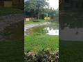 Samay lagega  🤣 #shorts  #trending #comedy #newtownkolkata #deerpark  #funnyshorts #nature #ecopark