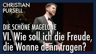 Vi. Wie Soll Ich Die Freude, Die Wonne Denn Tragen?