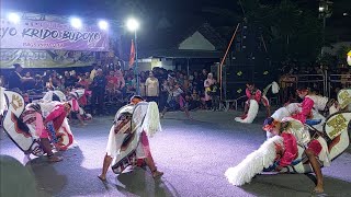 Perang Celeng || Suryo Krido Budoyo 1237 || Panjak Pertalite || L Jha audio, Live Bago Pasar Pring