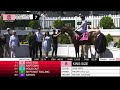 LAUREL PARK 2026-05-15 PL#07_RACE 7