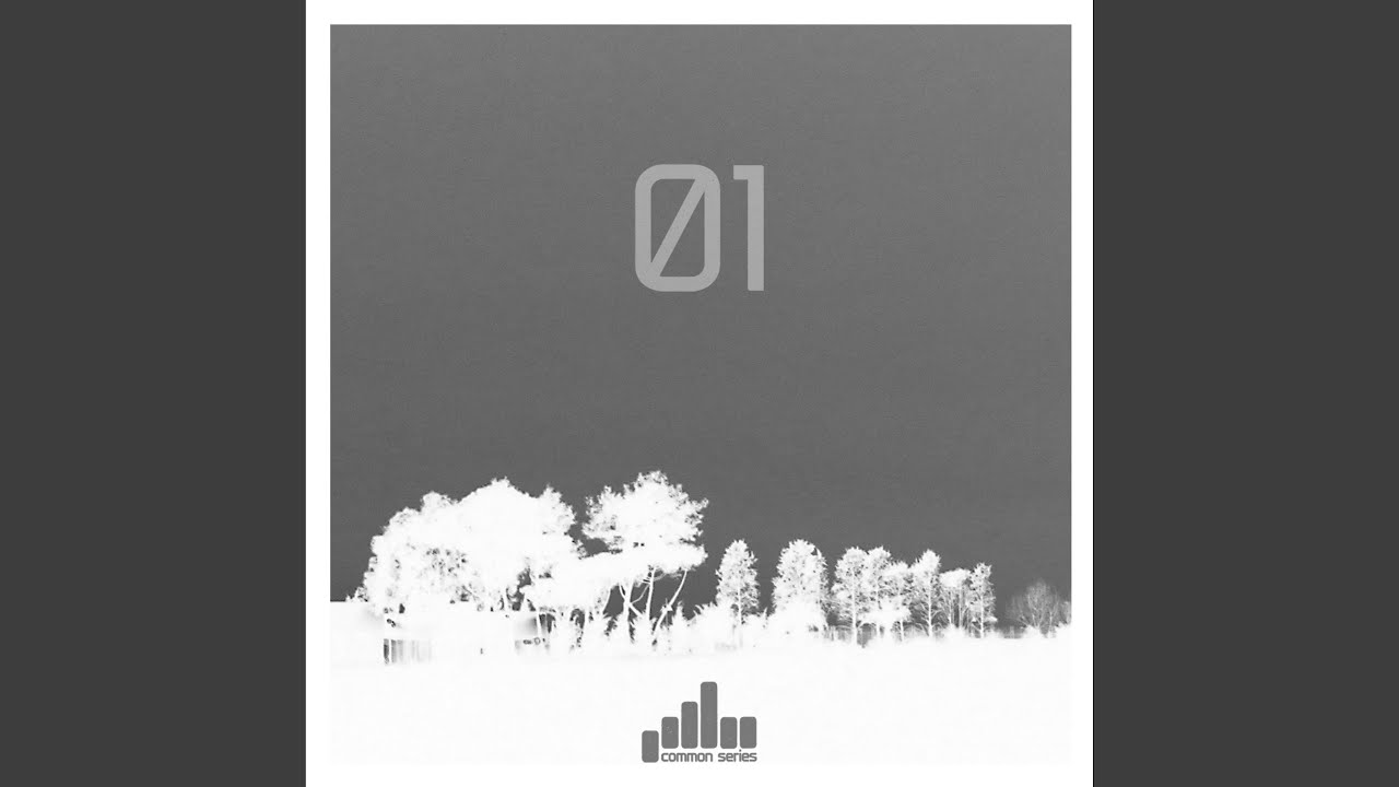 CS01 - B1 (Original Mix)