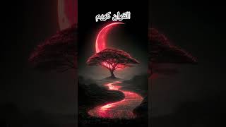 “Peaceful Qur’an Verses | Urdu Translation for Reflection”