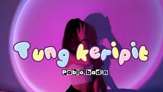 Download Lagu 🌴Tung keripit remix Pablo badin 2025🍑 MP3