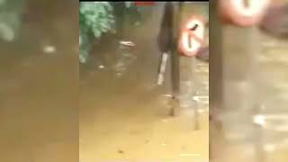 Mengenang banjir jakarta 2007 yang hampir lumpuhkan ibu kota