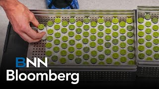 Hot Picks in biotech stocks