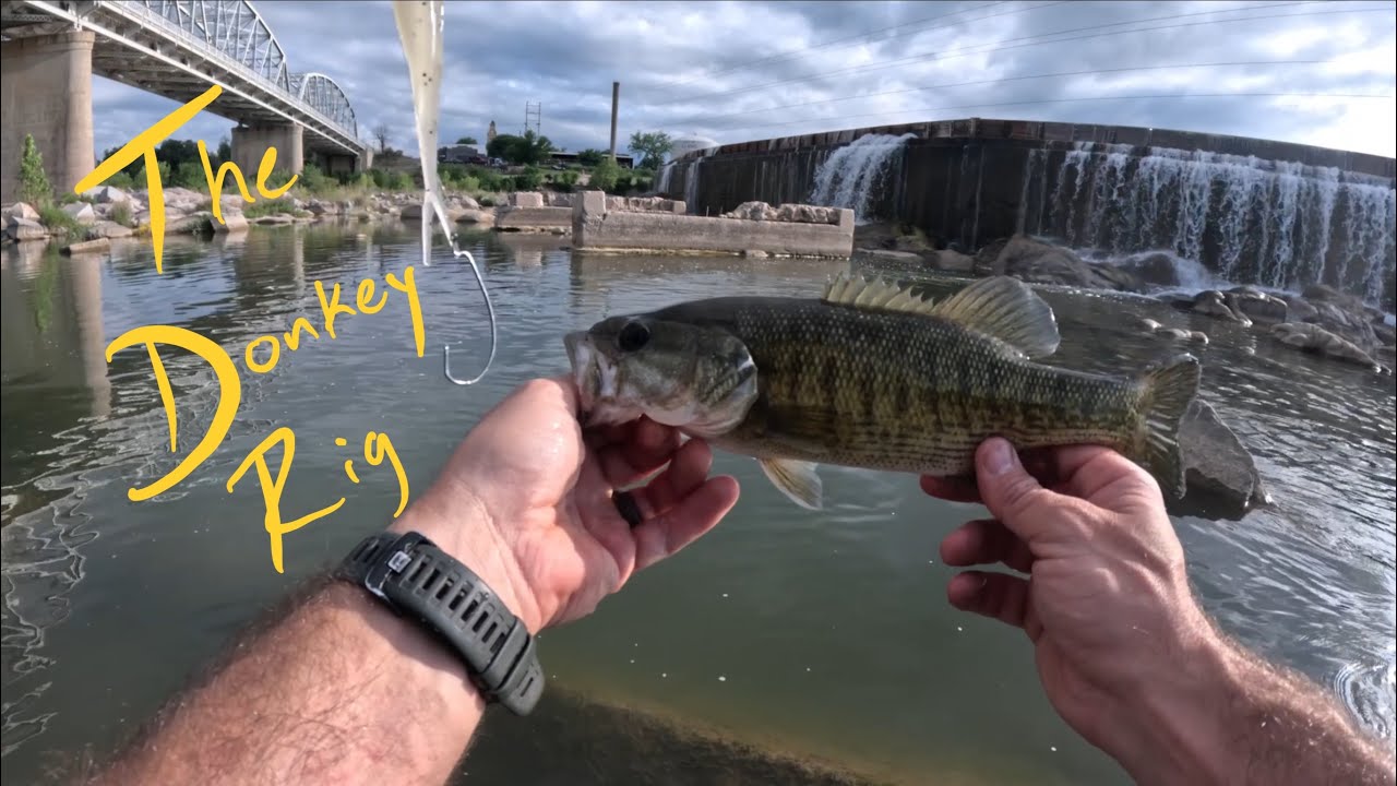 Fishing the Donkey rig - YouTube