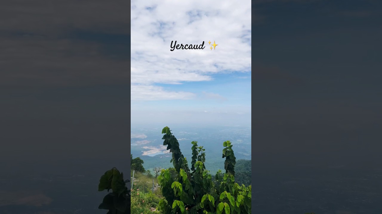 Yercaud Hill View🥰 