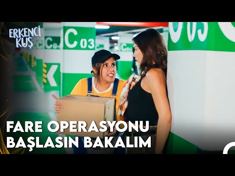 Sanem'den Şirketin Denetimine