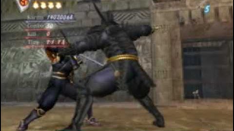 Ninja Gaiden - Doku with the Intercept.