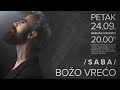 Božo Vrećo - Koncert