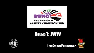 2015 AKC National Agility Championship: Ring 4 - JWW