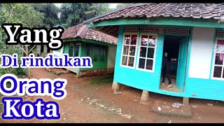 Suasana Desa Yang Dirindukan Orang Kota